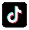 tiktok icon